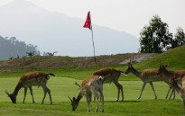 Campo de Golf de Berbes