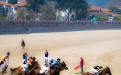 Carrera caballos