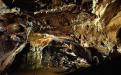 Interior cueva Tito Bustillo