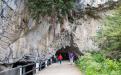 Entrada cueva Tito Bustillo