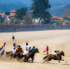 Carrera caballos